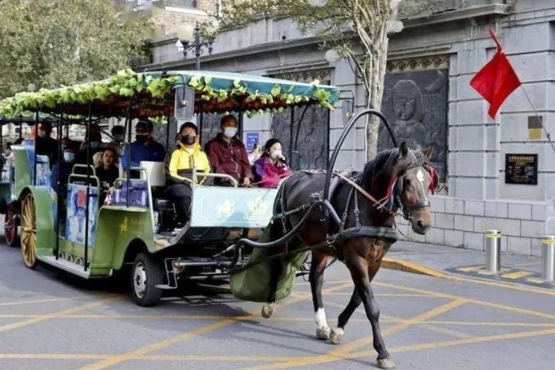 Exploring Tianjin’s Five Great Avenues by Horse-Drawn Carriage