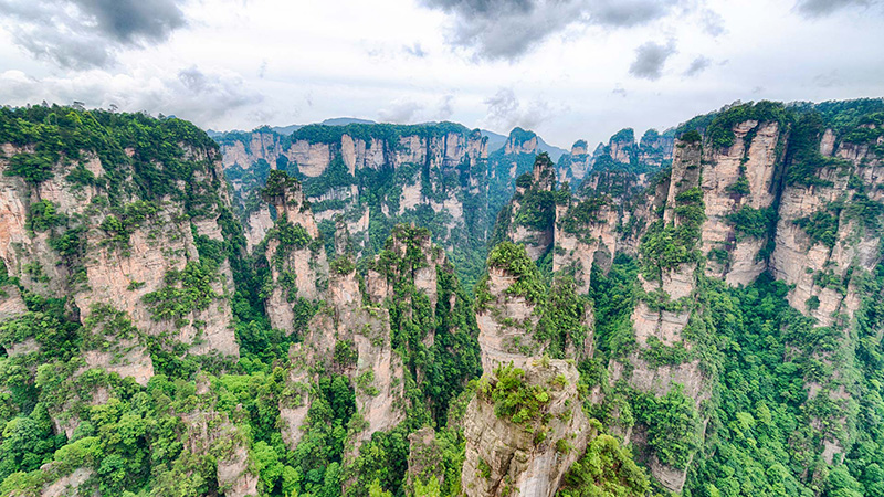 Are there mosquitoes in Zhangjiajie?