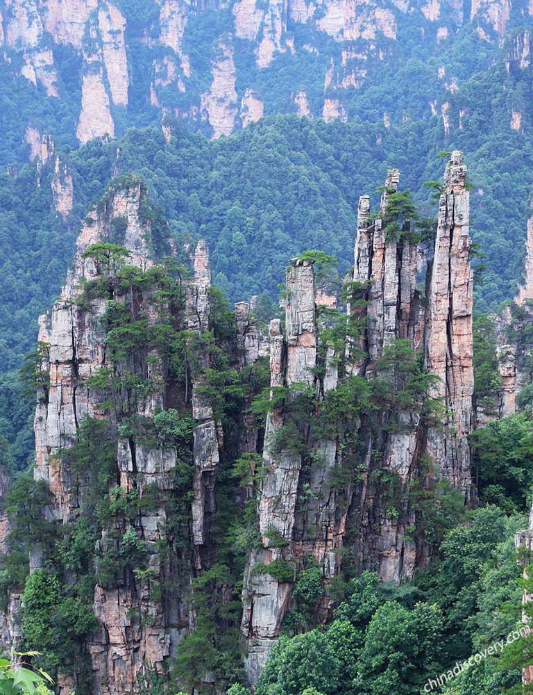 Attractions near Golden Whip Creek - Tianzi Mountain