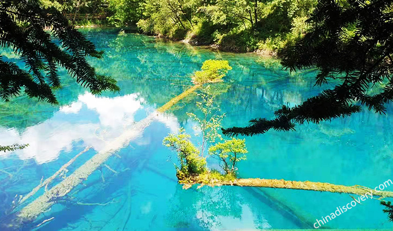 Best season to visit Jiuzhaigou Wuhua Lake