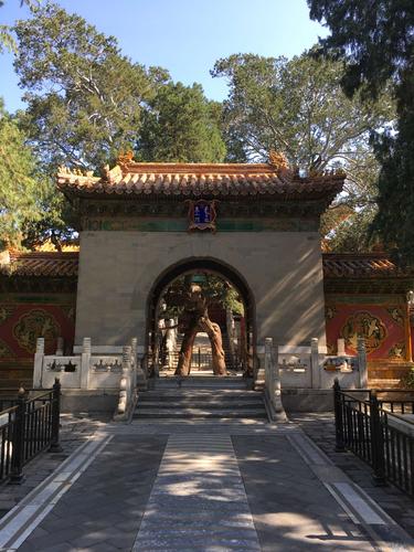 History of the Imperial Garden of the Forbidden City