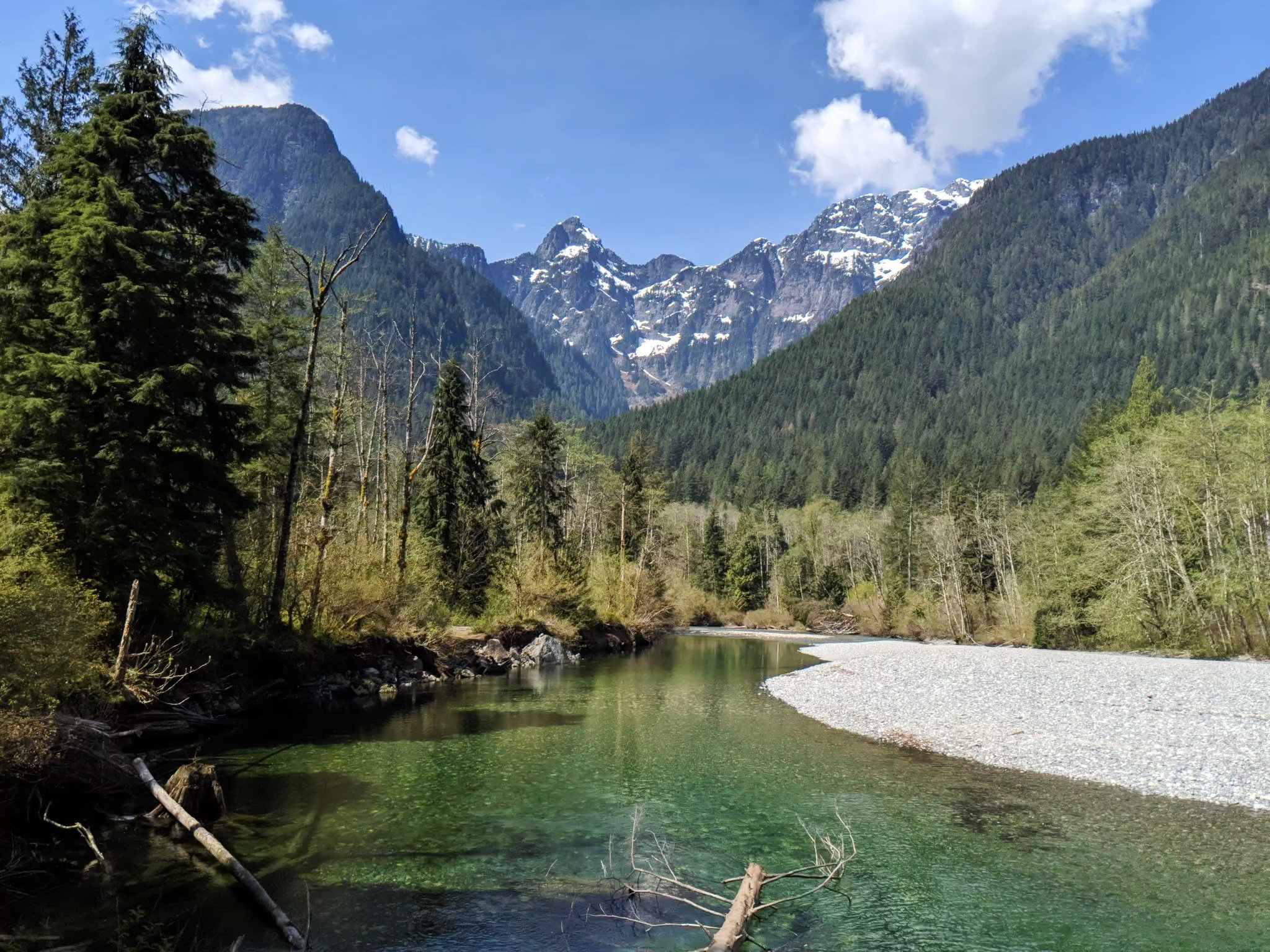 How difficult is the Golden Whip Creek Golden Ear Hike