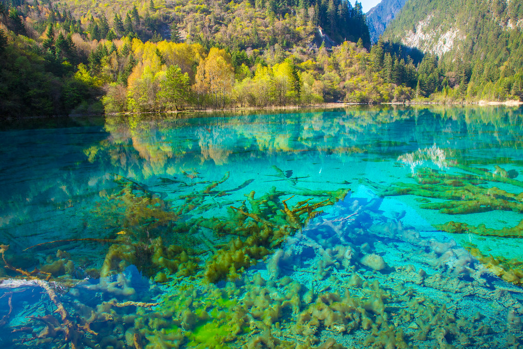 Jiuzhaigou Five Flower Sea