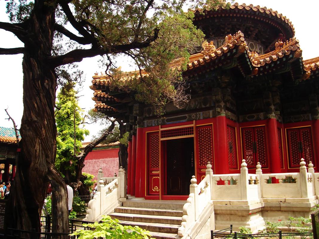 Ming Dynasty Forbidden City Imperial Garden