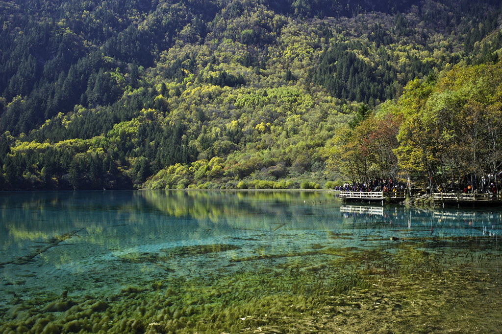 Photography tips for Jiuzhaigou Wuhua Lake