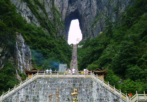 Tianmen Mountain Forest Resources