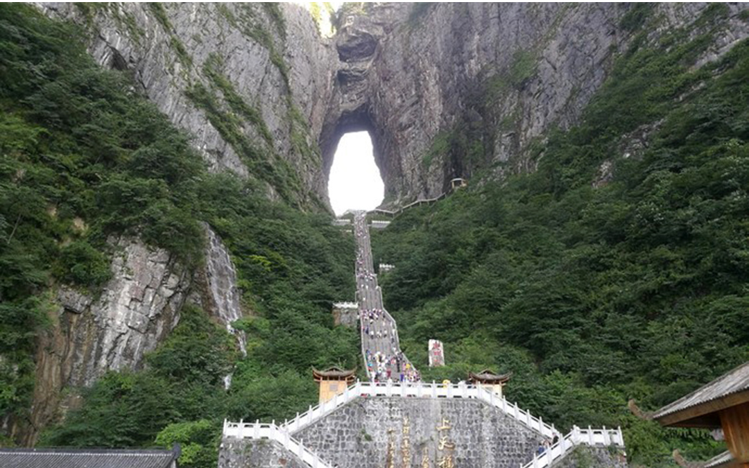 Tianmen Mountain Plant Species