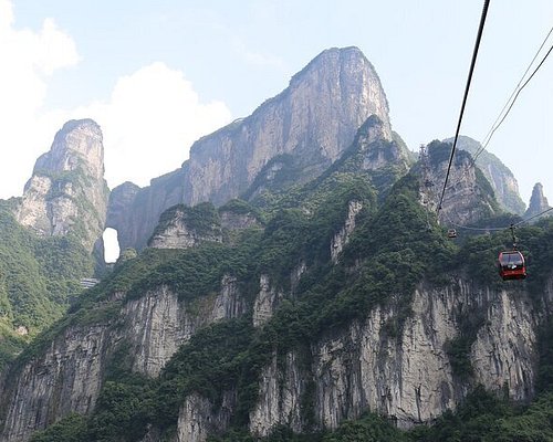 Tianmen Mountain Wildlife