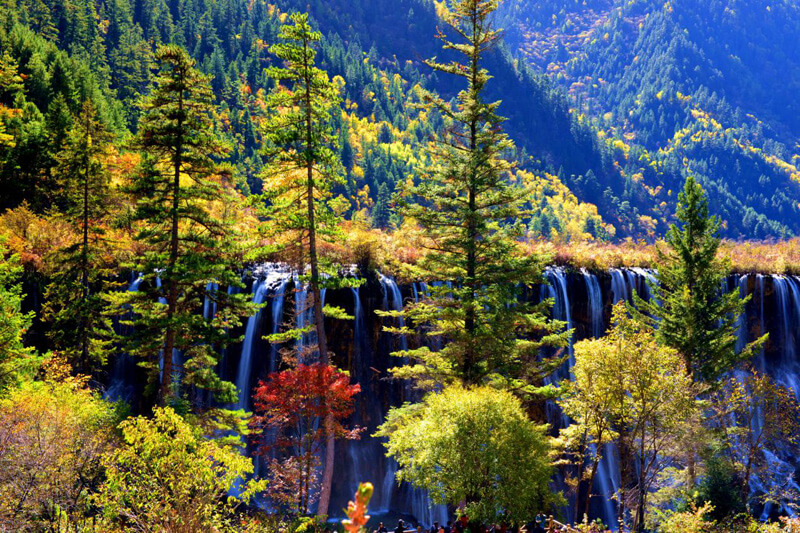 Travel guide to Jiuzhaigou Nuorilang Waterfall