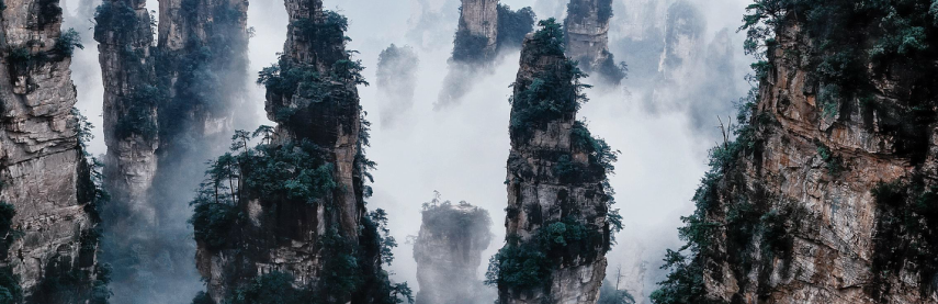 What are some interesting facts about Zhangjiajie National Forest?