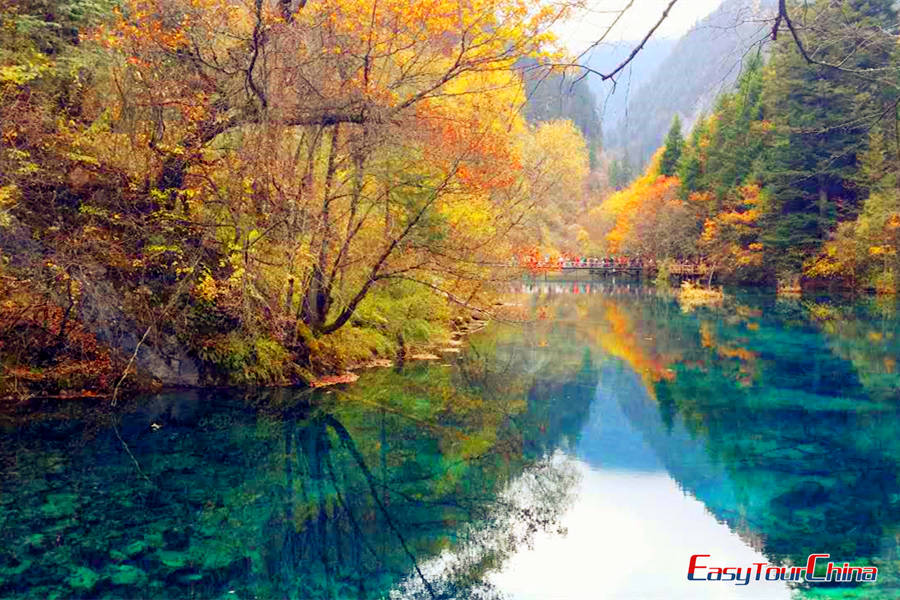 What are the interesting facts about Jiuzhaigou?