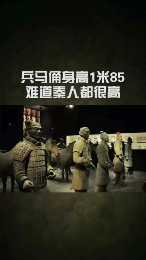 What is the average size of the roughly 8000 soldiers of the Terracotta Army?