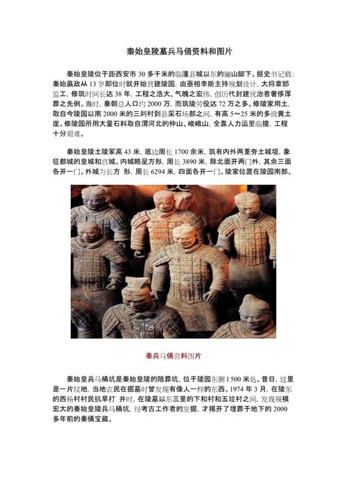 What is the introduction of Terracotta Army?