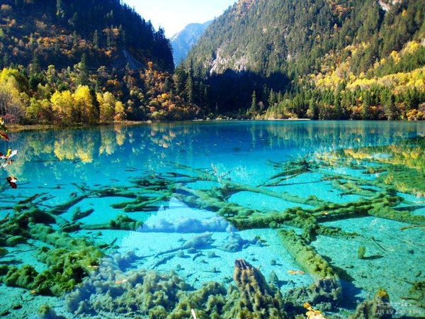 What is the name of this crystal clear lake in China's Jiuzhaigou National Park?