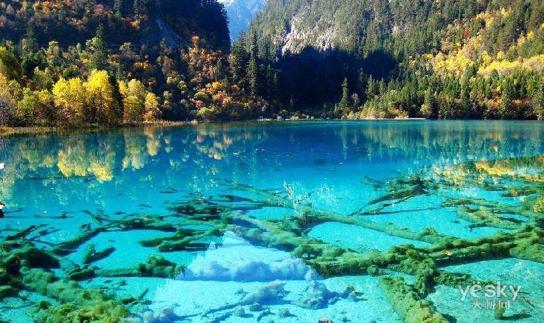 What is the scenic area of Jiuzhaigou Valley?