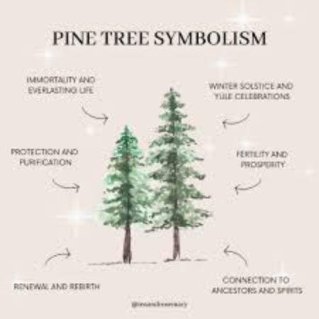 What is the significance of the pine tree?