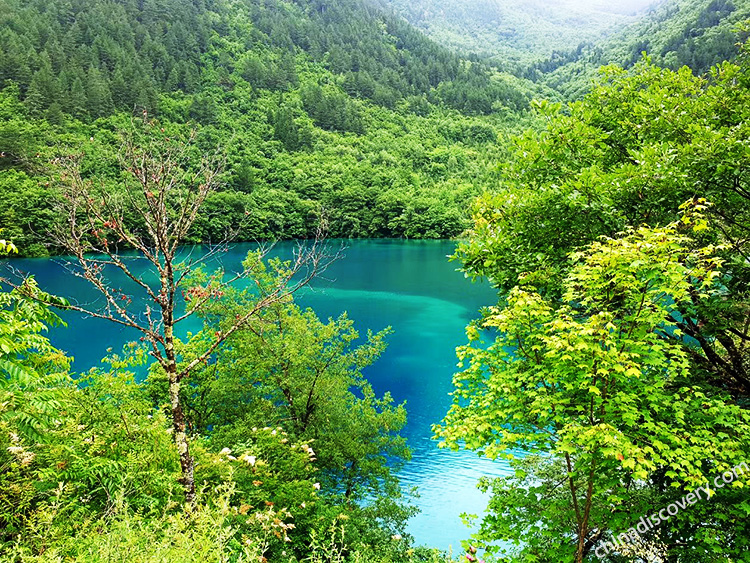 What is the weather like in Jiuzhaigou in April?