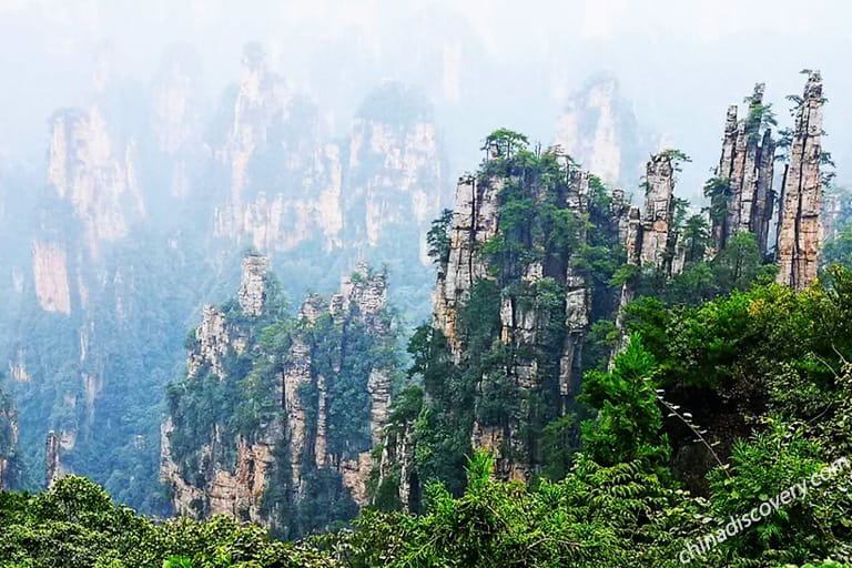 What is the weather like in Zhangjiajie in late March?