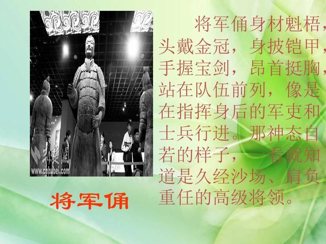 Who is the owner of the Terracotta Warriors?