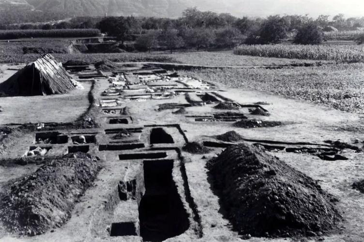 Why is Qin Tomb not excavated?