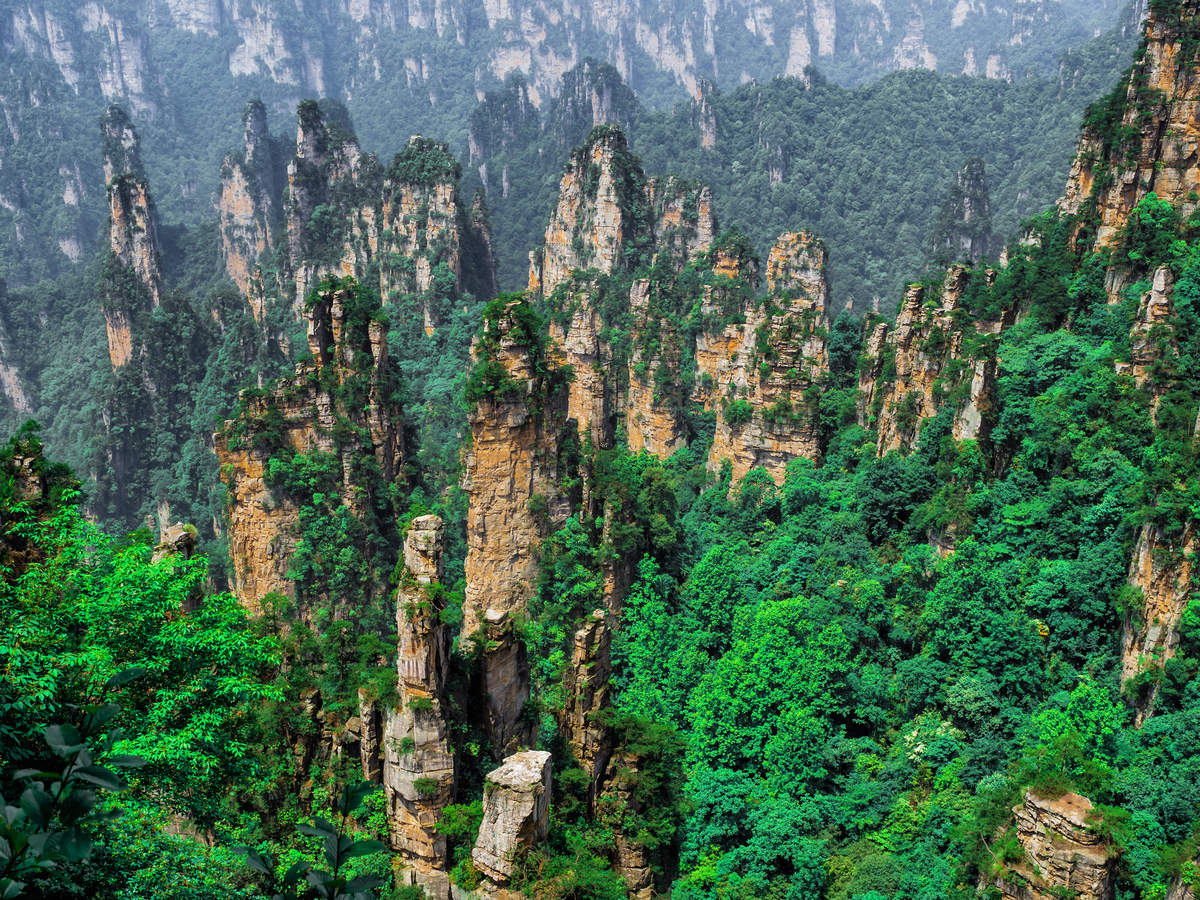 Why is Tianzi Mountain famous?