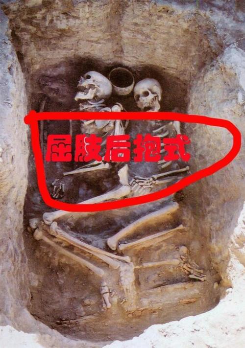 Why was the Terracotta Army buried in the tomb with him?