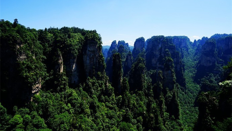 Yuanjiajie Back Garden